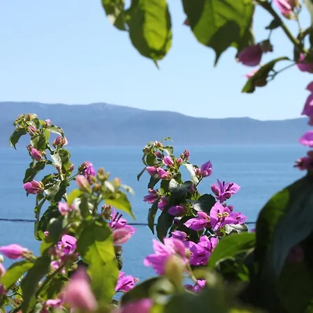 Apartments By The Sea Podaca, Makarska - 6745 Apartment